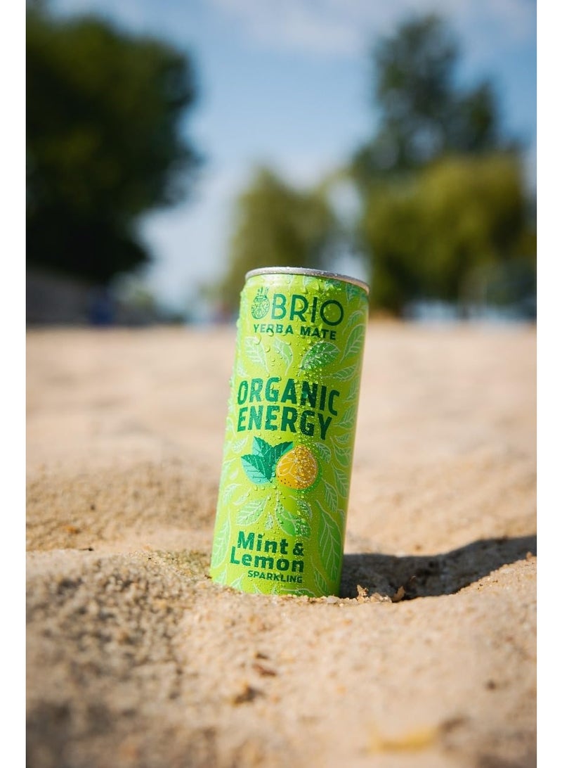 BRIO Yerba Mate, Organic Energy Drink - 160 mg Natural Plant Based Caffeine, Lemon & Mint (250ml x Pack of 12) - Image 3